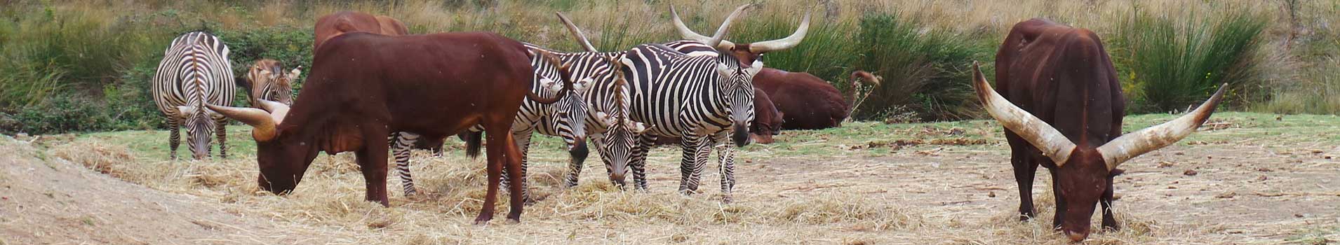 La Réserve Africaine de Sigean